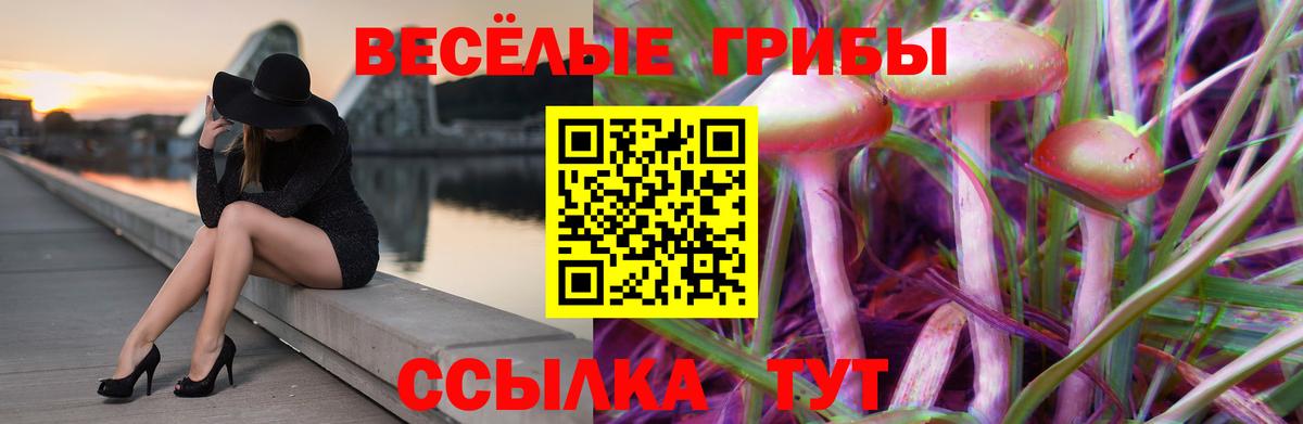 Галлюциногенные грибы MAGIC MUSHROOMS Чехов