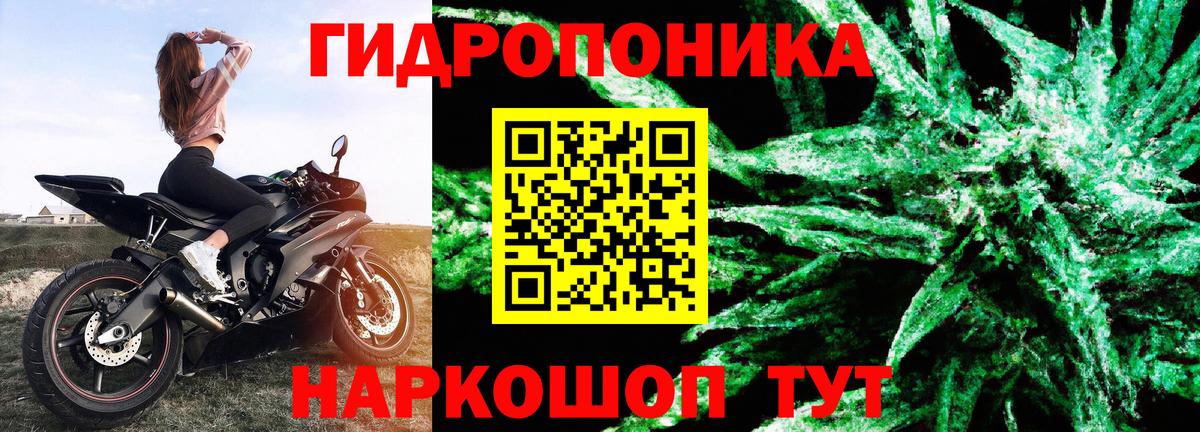 Чехов  Бошки Шишки Ganja  Вход с VPN  Бошки марихуана марихуана  Конопля Bruce Banner 
